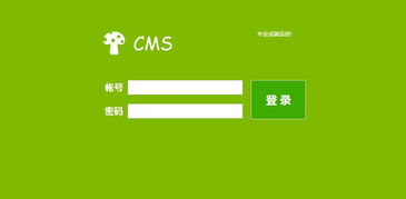 龍巖企業網站建設全攻略 從方案規劃到成功上線