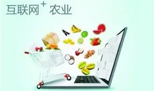 農村電商十大發(fā)展趨勢 擁抱變革，賦能鄉(xiāng)村經濟